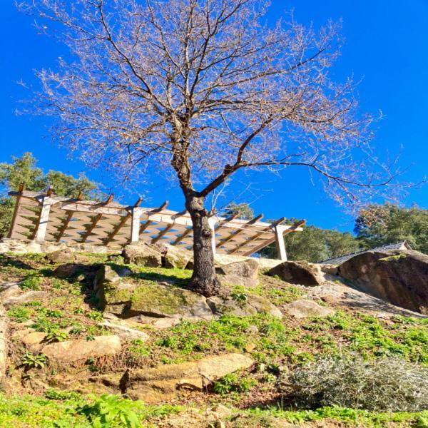 אלוורנגה Paiva Valley מראה חיצוני תמונה
